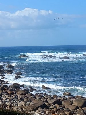 Drachenrücken im Meer